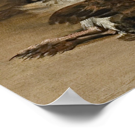 Poster Goya - Oiseau mort 1808 (Coin)