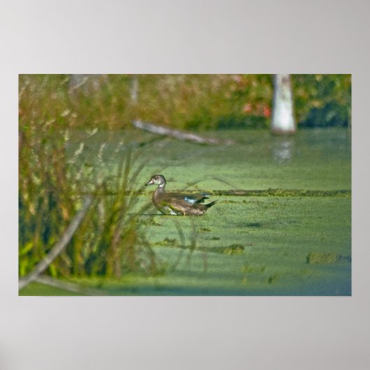 Poster gp0003 (Devant)