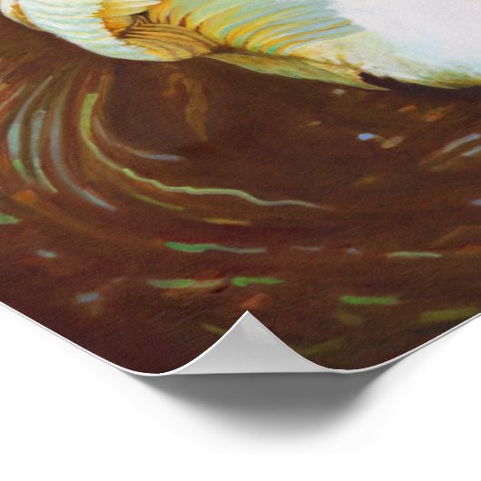 Poster Grace 2014 (Coin)