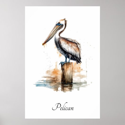 Poster Grâce du Pélican (Devant)