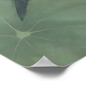 Poster Graceful Koi Fish Pond Serenity Design (Coin)