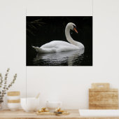 Poster gracieux du cygne blanc (Cuisine)