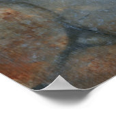 Poster Gracieux Koi II (Coin)