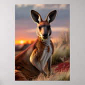 Poster Gracity Kangaroo au coucher du soleil (Devant)