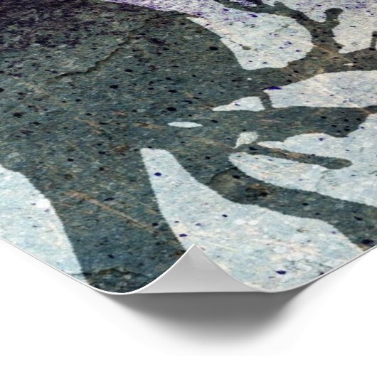 Poster Gracker (Coin)