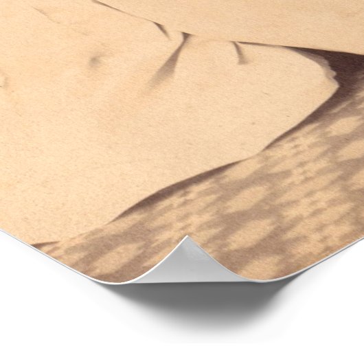 Poster Gradués en nursing (Coin)