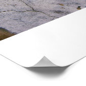 Poster Graffiti dans la musique (Coin)