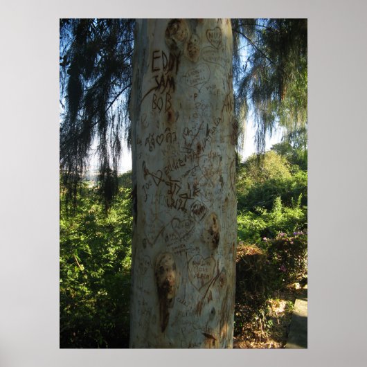 Poster Graffiti d'arbre thaïlandais (Devant)