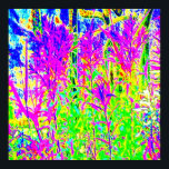 Poster Graffiti en Plante : Humber River Bridge Toronto<br><div class="desc">Graffiti en Plante : Humber River Bridge Toronto</div>