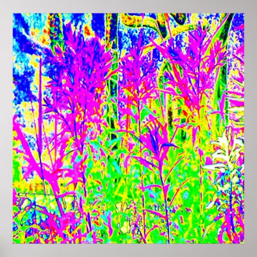 Poster Graffiti en Plante : Humber River Bridge Toronto (Devant)