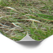 Poster Graffiti inspirational god people (Coin)