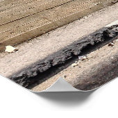 Poster Graffiti muraux de l'apartheid palestinien (Coin)