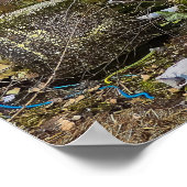 Poster Graffiti Street Art Abandon de l'affiche du bâtime (Coin)