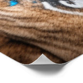 Poster Graffiti urbain de rue de Pitbull City (Coin)