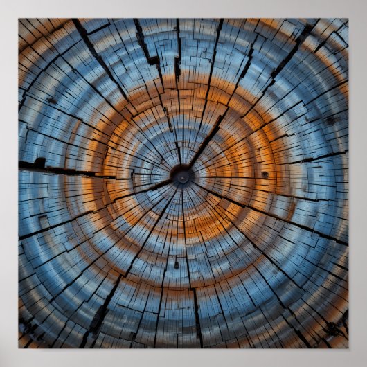 Poster Grain de bois texturé - Arbre Artistique Arrondiss (Devant)