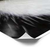 Poster Grain De Sel Chat Motivationnel Slogan Photo (Coin)