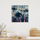 Poster Graines de Dandalion avec gouttes Macro Abstrait (Cuisine)