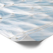 Poster Graines de Dandelion (Coin)