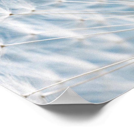 Poster Graines de Dandelion (Coin)