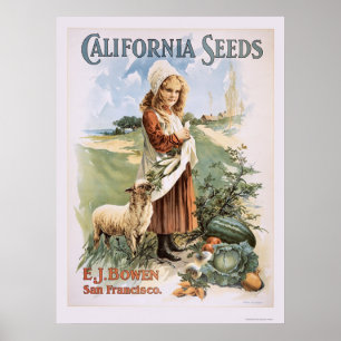 Poster Graines de la Californie
