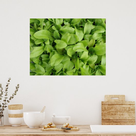 Poster Graines de Nasturtium Imprimer (Cuisine)