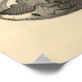 Poster Graines de Zuni (Coin)