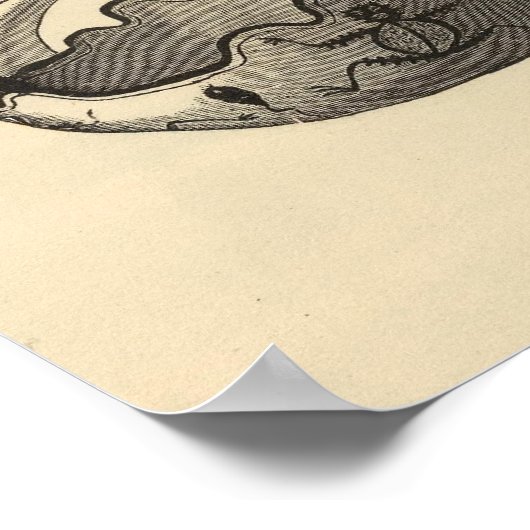 Poster Graines de Zuni (Coin)