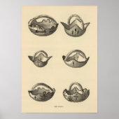 Poster Graines de Zuni (Devant)