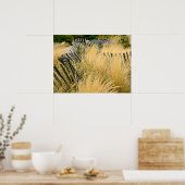 Poster Graines d'or en France (Cuisine)