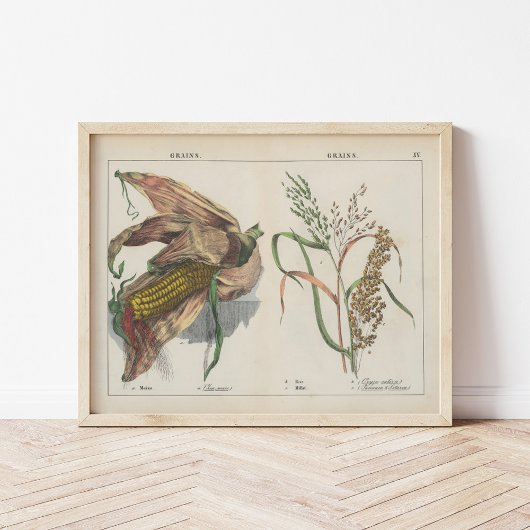 Poster Grains | Charlotte Mary Yonge