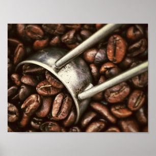 Poster Grains de café et scoop