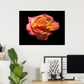 Poster Granada Tea Rose Imprimer (Bureau à domicile)