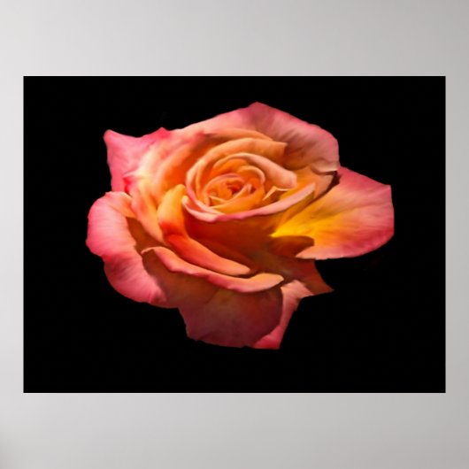 Poster Granada Tea Rose Imprimer (Devant)