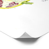 Poster Granatum de Punica (grenade) (Coin)