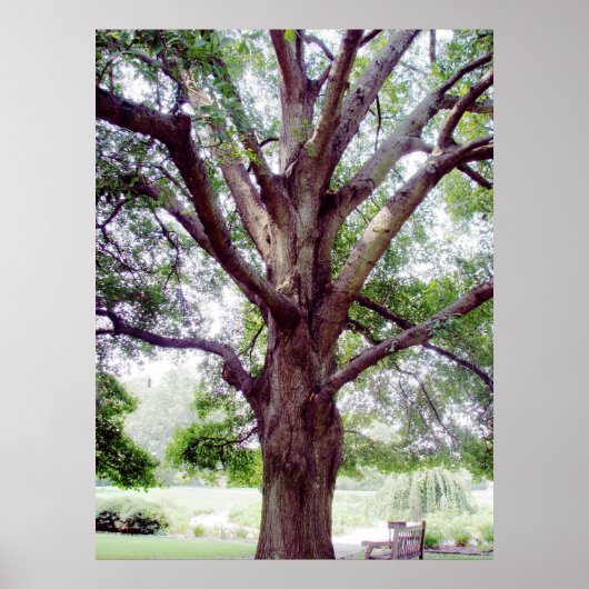 Poster Grand1 (Devant)