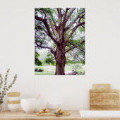 Poster Grand1 (Cuisine)