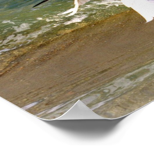 Poster Grand Aiguille blanche (Coin)