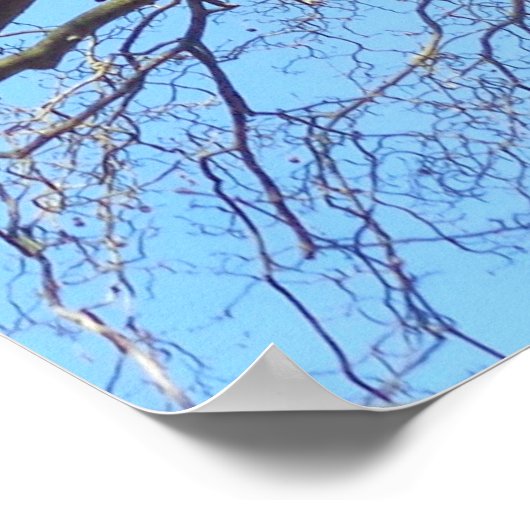 Poster Grand Arbre avec de nombreuses branches dans le ci (Coin)