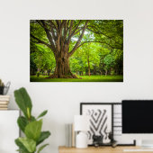 Poster Grand arbre dans le parc (Bureau à domicile)