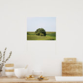 Poster Grand arbre dans un Cornfield rural Couleur 16x20 (Cuisine)