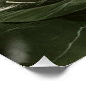 Poster Grand Auk (Coin)