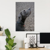 Poster Grand bleu Dane (Bureau à domicile)