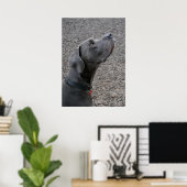 Poster Grand bleu Dane (Bureau à domicile)