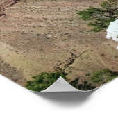 Poster Grand Canyon (Coin)