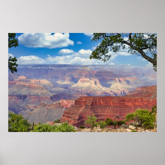 Poster Grand Canyon (Devant)