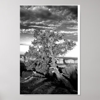 Poster Grand Canyon 03