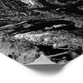 Poster Grand Canyon #1 (Coin)