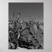 Poster Grand Canyon #1 (Devant)