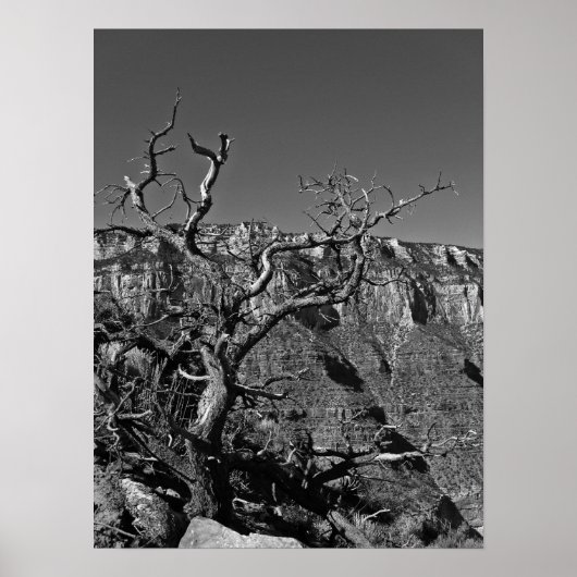 Poster Grand Canyon #1 (Devant)