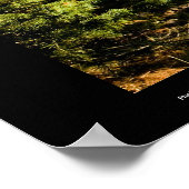 Poster Grand Canyon avec bouleau doré (Coin)